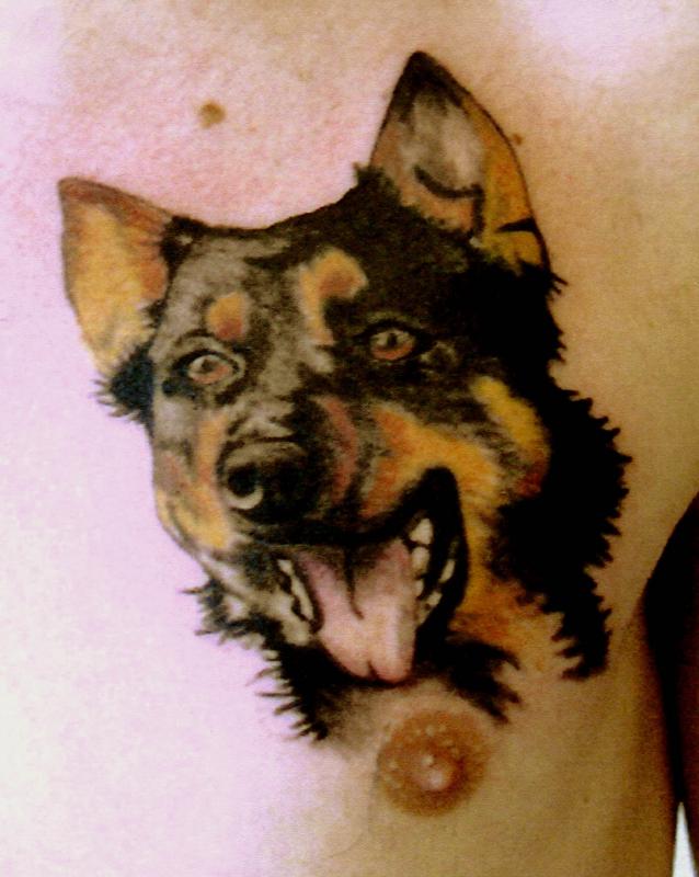 tattoo chien berger allemand