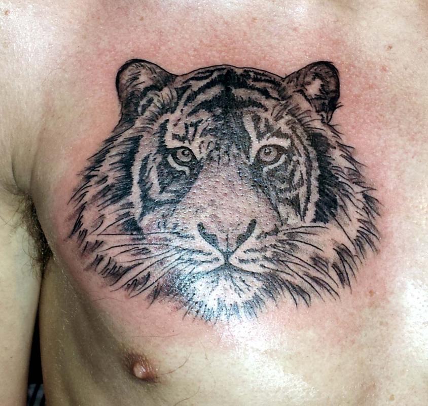 tattoo t�te de tigre