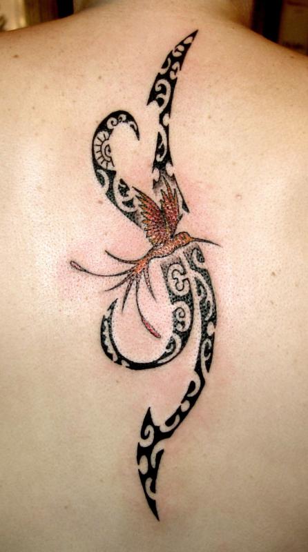 tattoo polyn�sien et colibri dos