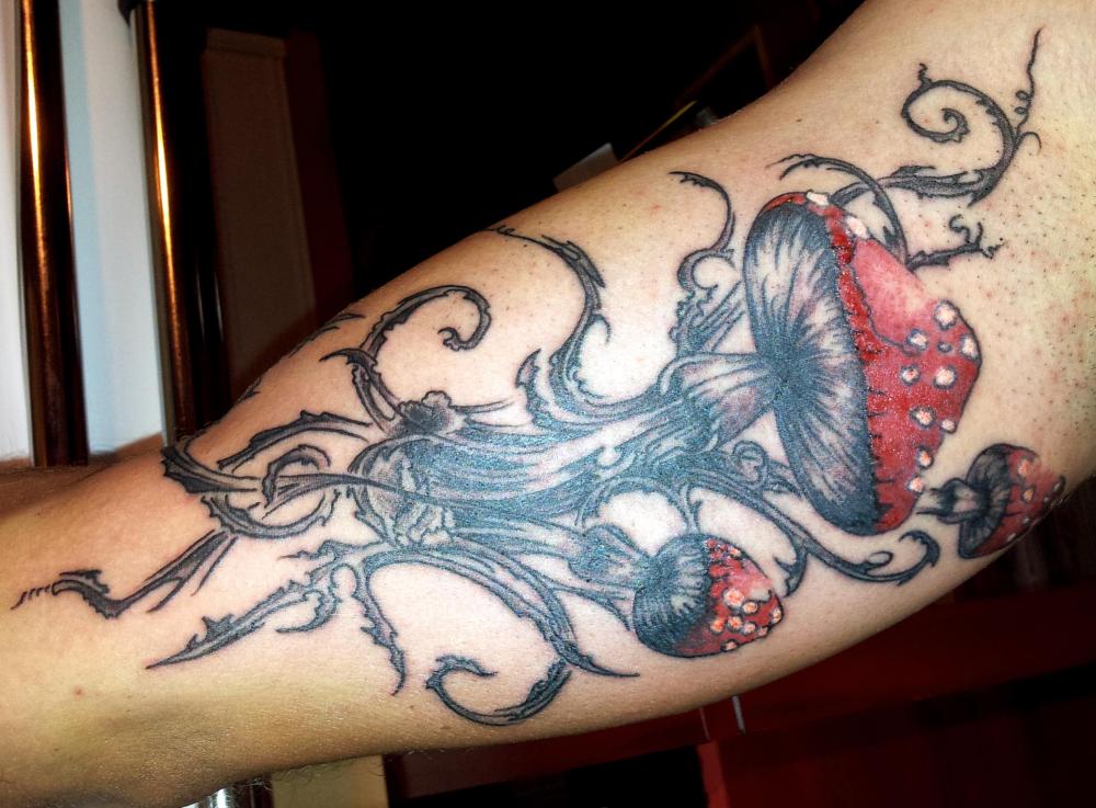 tattoo champignons couleur