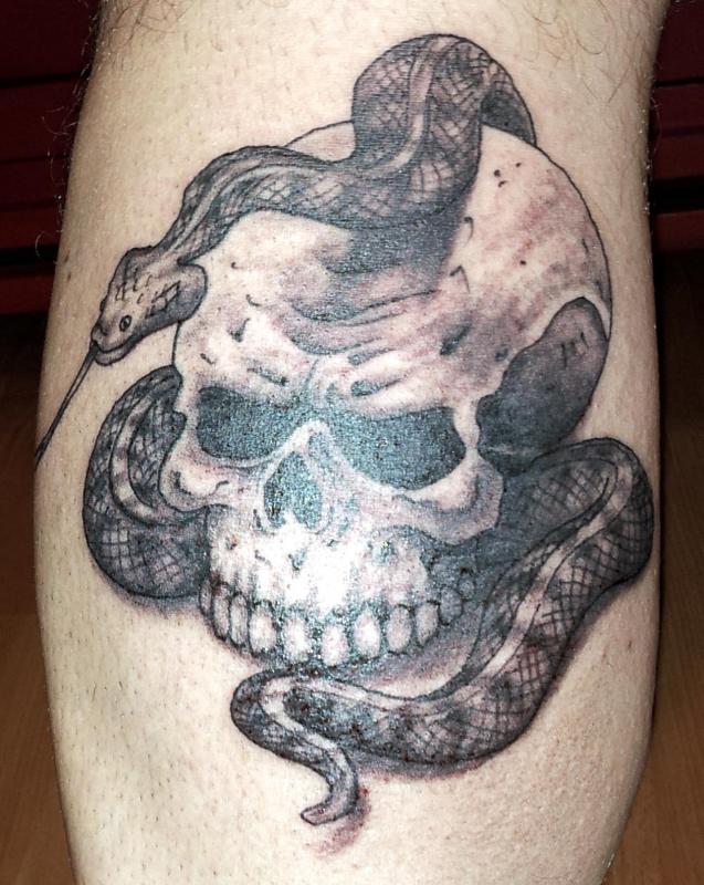 tattoo cr�ne et serpent
