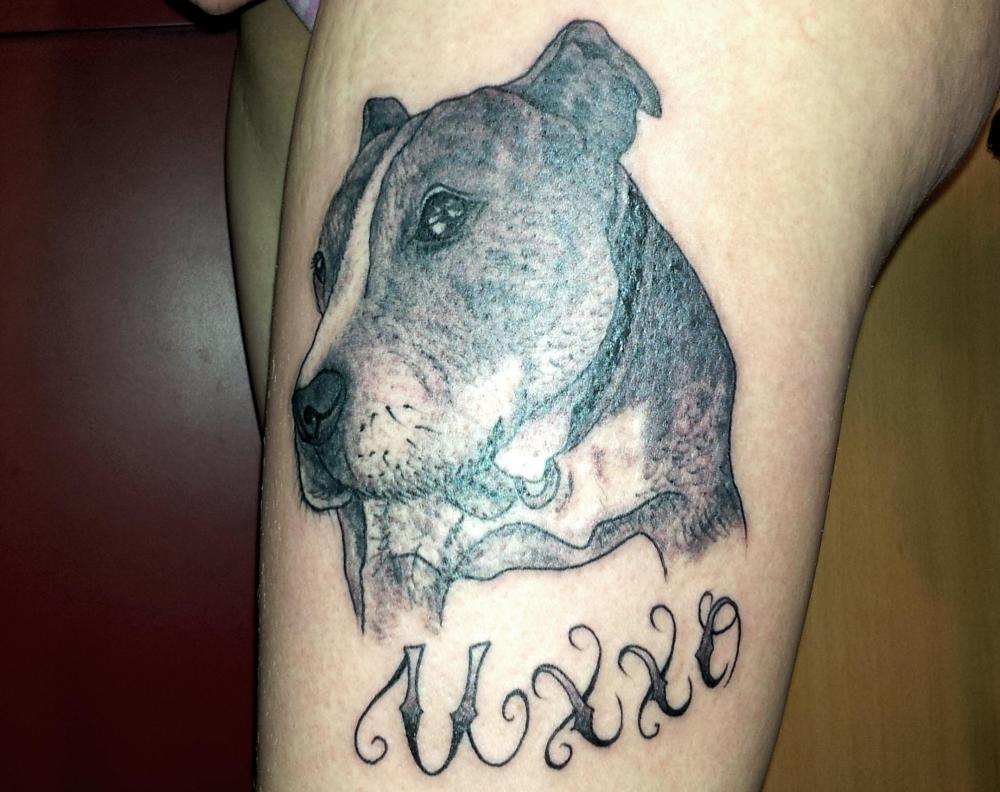 tattoo portait de chien cuisse