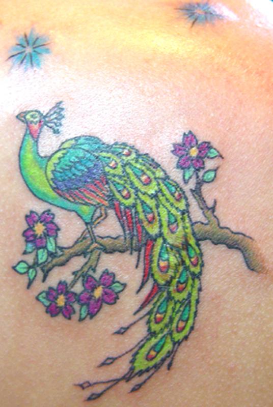 tattoo asiatique paon couleur