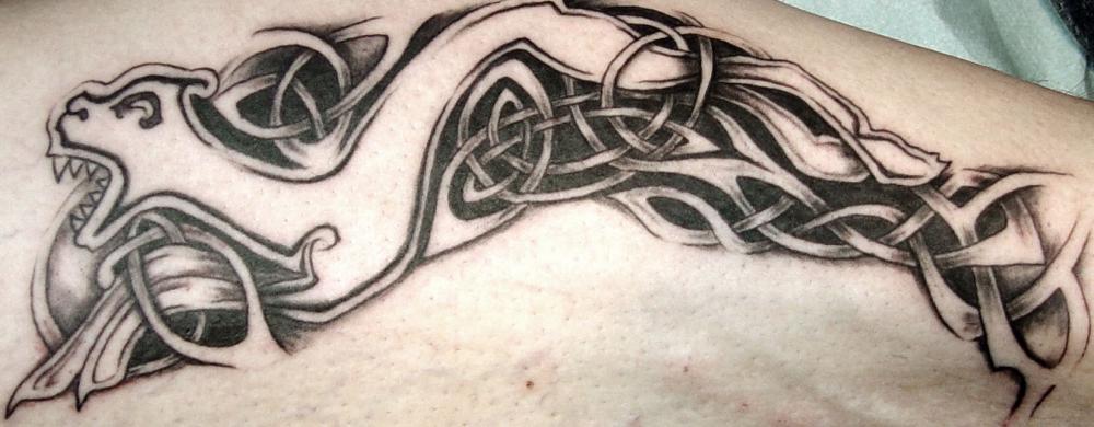 tattoo hermine celtique en noir sur le bras